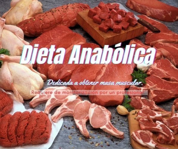 Dieta Anabólica